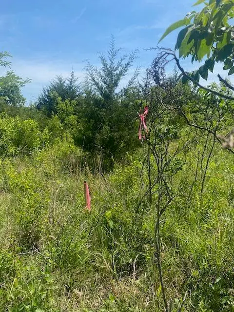 000 Flint Hollow Road, Seymour, MO 65746 - #2
