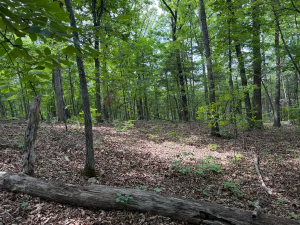 000 Moore Bend Road, Cedarcreek, MO 65627