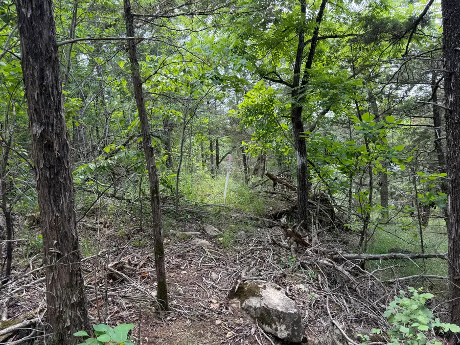 000 Moore Bend Road, Cedarcreek, MO 65627 - #2