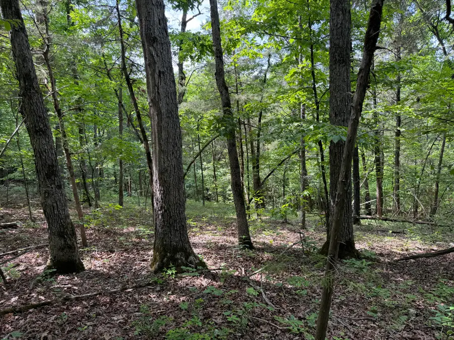 000 Moore Bend Road, Cedarcreek, MO 65627 - #3