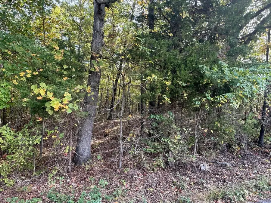 3922 Girlstown Road, Mountain Grove, MO 65711 - #3