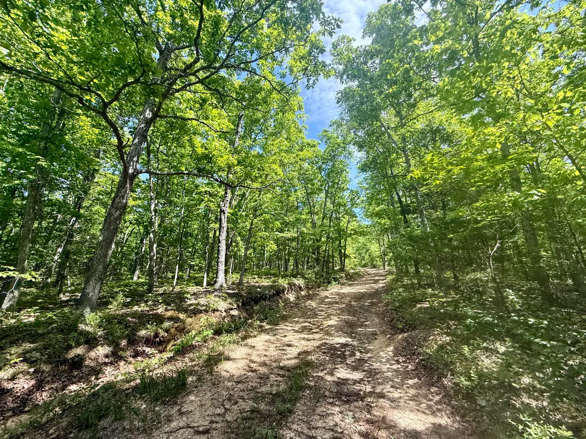 000 Bailey Road, Licking, MO 65542 - #1