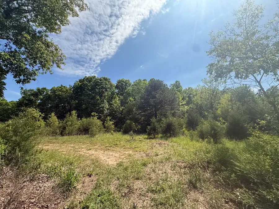 000 Bailey Road, Licking, MO 65542 - #3