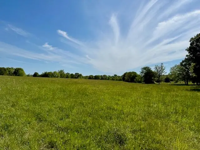 6557 Stoops Road, Summersville, MO 65571 - #1