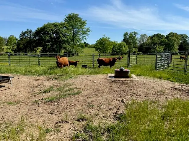 6557 Stoops Road, Summersville, MO 65571 - #2
