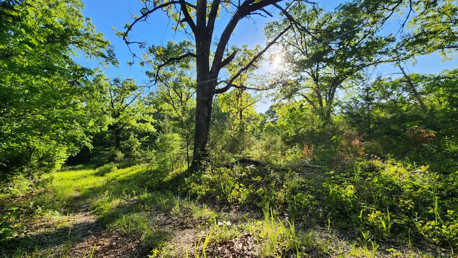 542 State Highway U, Clever, MO 65631 - #2