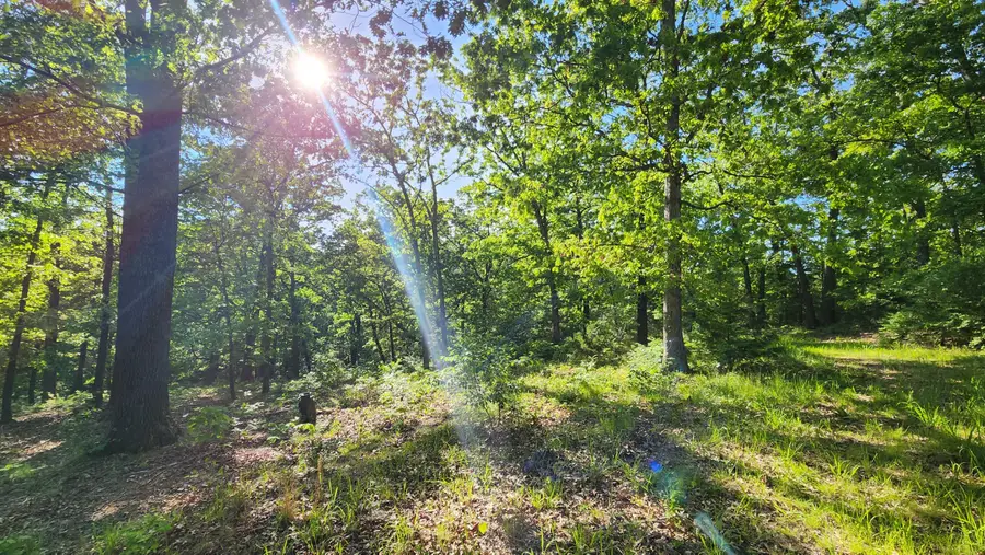 542 State Highway U, Clever, MO 65631 - #3