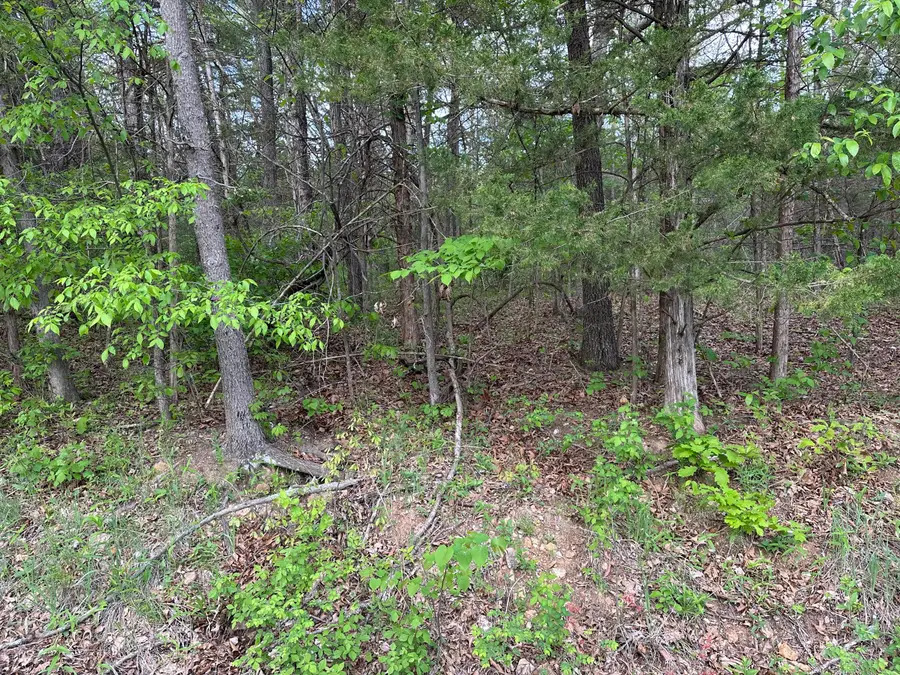000 Falling Rock Road, Elkland, MO 65644 - #2