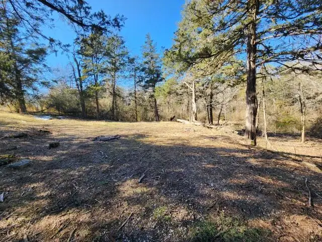 229 Redbud Street, Hollister, MO 65672 - #3