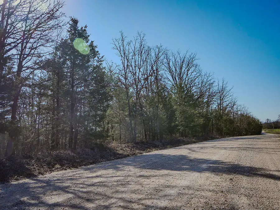 000 Simpson Road, Urbana, MO 65767 - #2