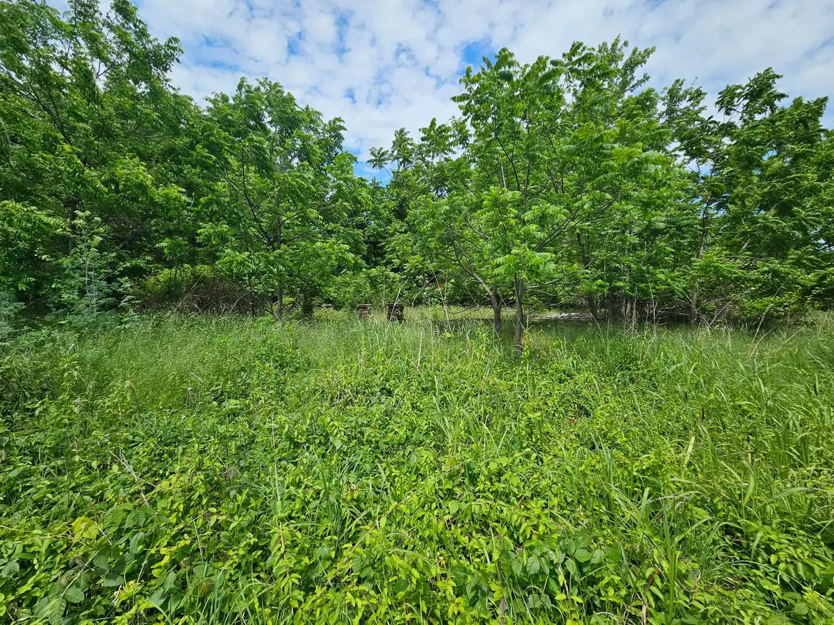 000 State Highway K, Everton, MO 65646 - #1