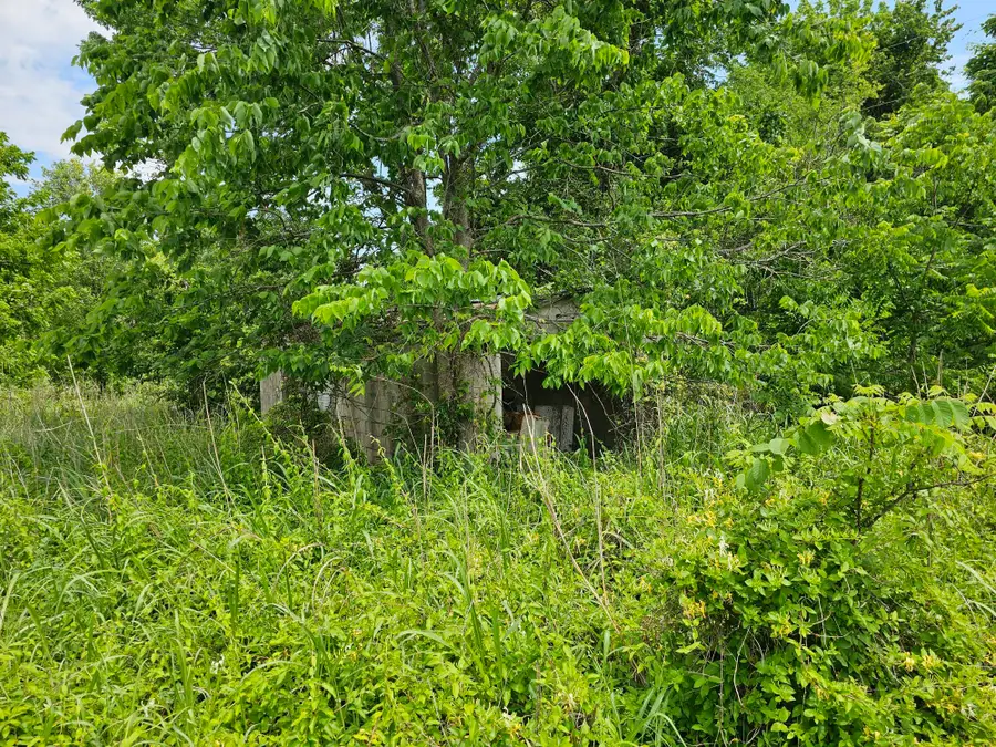 000 State Highway K, Everton, MO 65646 - #2