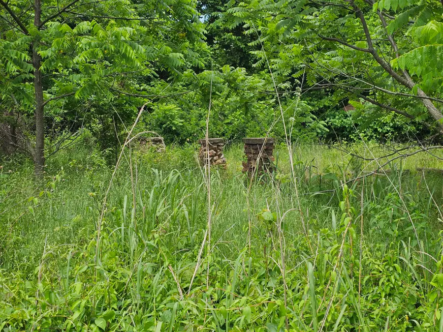 000 State Highway K, Everton, MO 65646 - #3