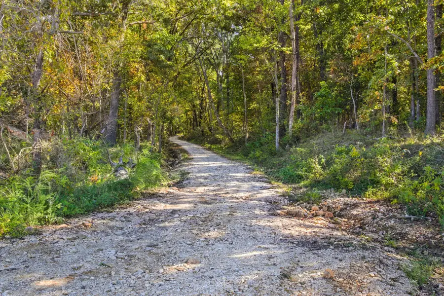000 N Dade 181, Greenfield, MO 65661 - #3