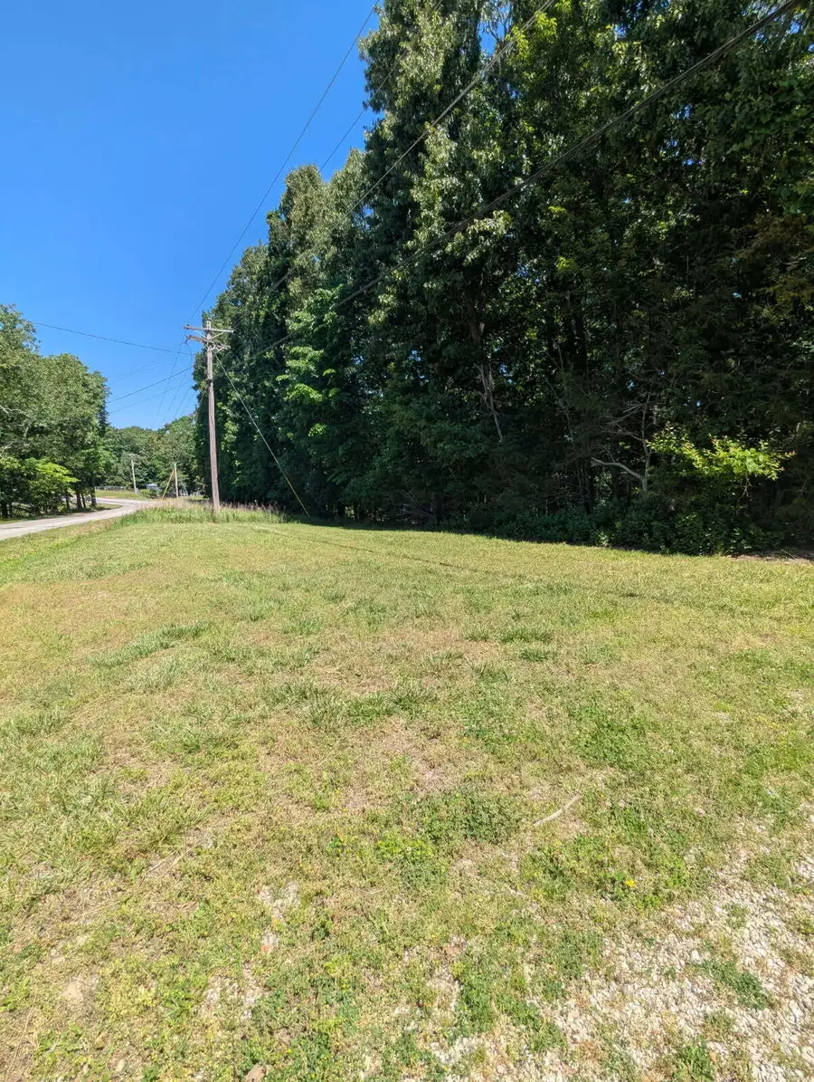 000 Fine Drive, Galena, MO 65656 - #2