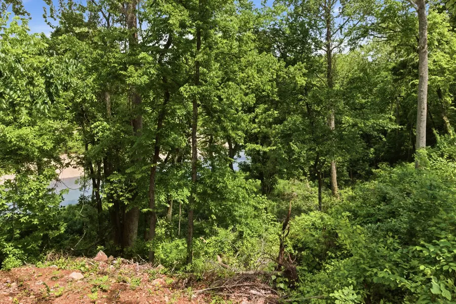 Tract 10 Circle B Road, Eminence, MO 65466 - #2
