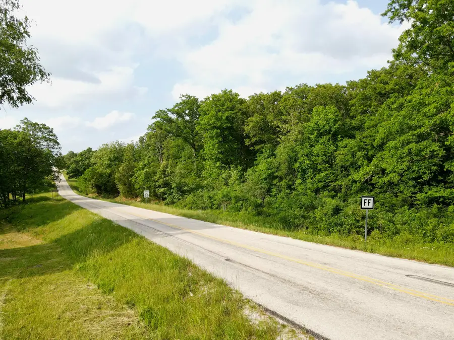 000 State Road Ff, Long Lane, MO 65590 - #2