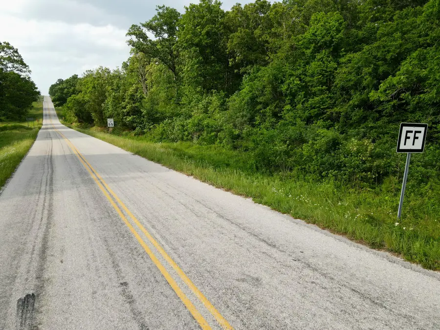 000 State Road Ff, Long Lane, MO 65590 - #3
