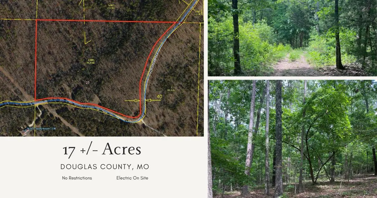 000 County Road C-228, Norwood, MO 65717 - #1