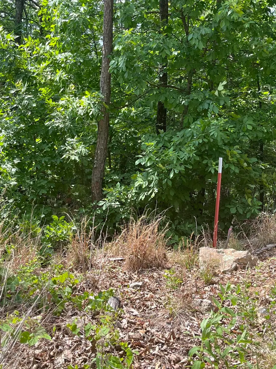 000 County Road C-228, Norwood, MO 65717 - #3