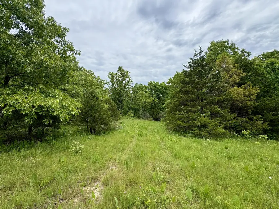 000 Cottengim Road, Macomb, MO 65702 - #3