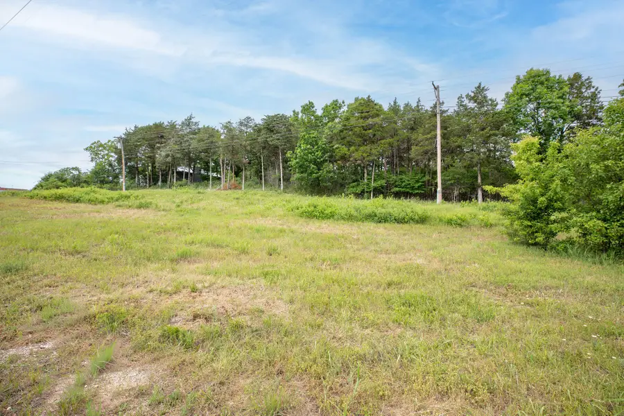 Tbd Bee Creek Road, Branson, MO 65616 - #2