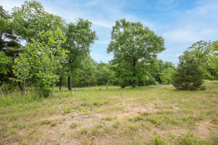 Tbd Bee Creek Road, Branson, MO 65616 - #3