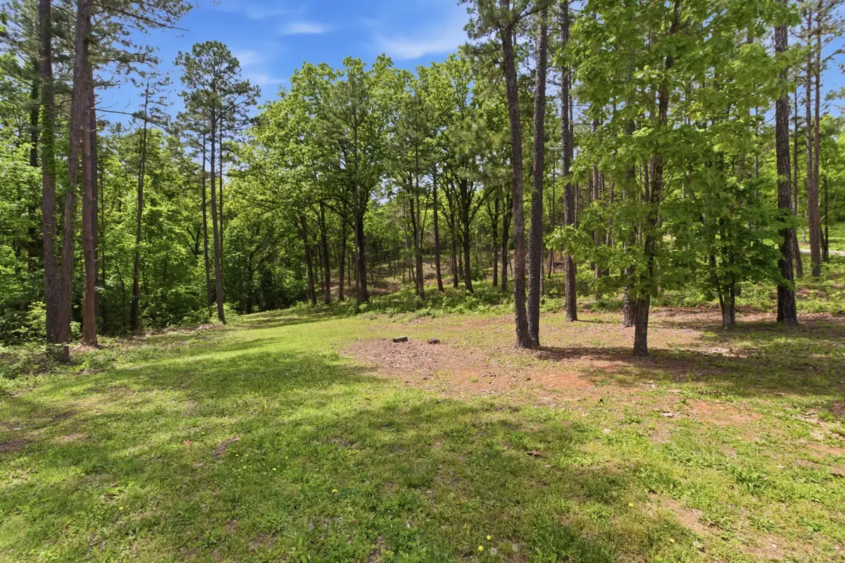 Tract 2 Circle B Road, Eminence, MO 65466 - #1