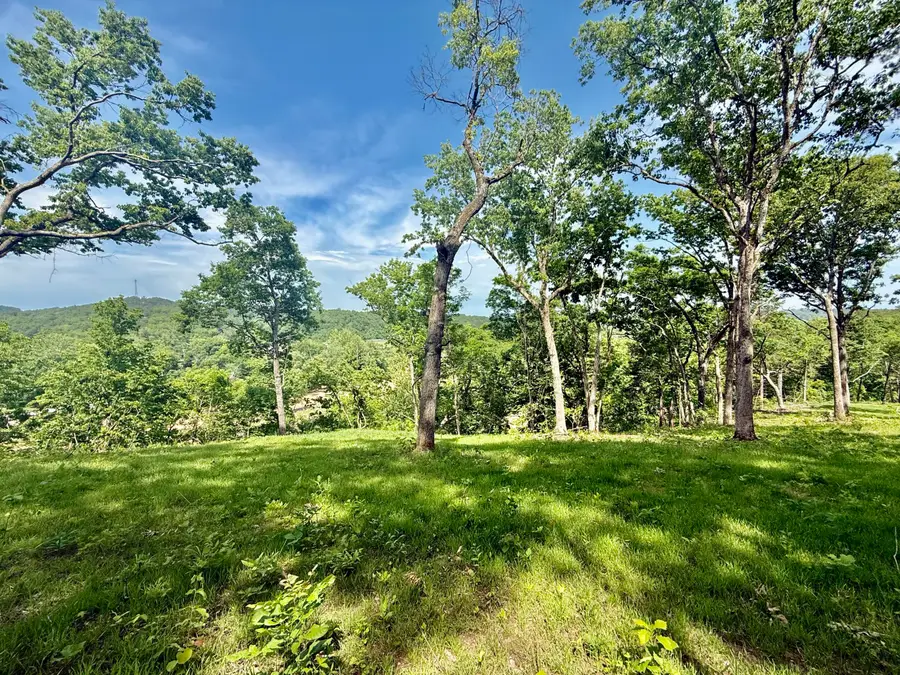 Tract 4 Circle B Road, Eminence, MO 65466 - #2
