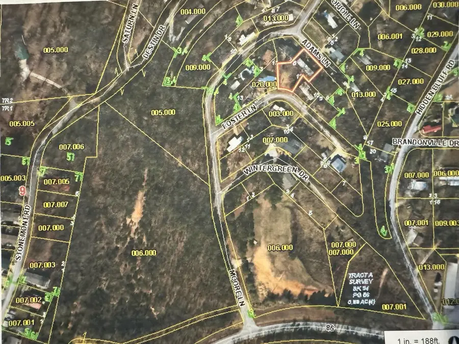 28 Adams Lane, Blue Eye, MO 65611 - #3