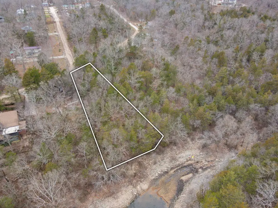 000 Mill Bridge Throughway, Lampe, MO 65681 - #3