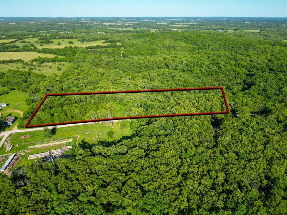 000 Natural Road, Elkland, MO 65644 - #1