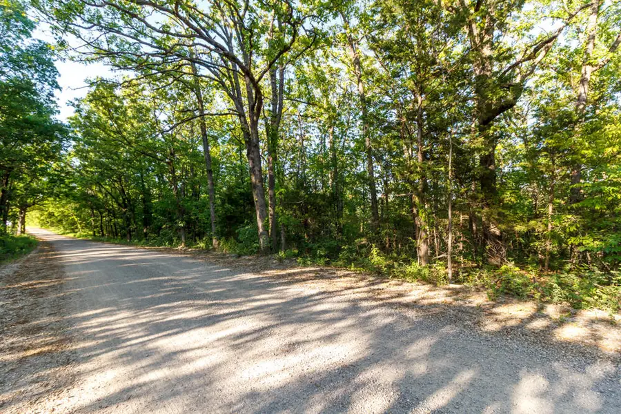 000 Natural Road, Elkland, MO 65644 - #2
