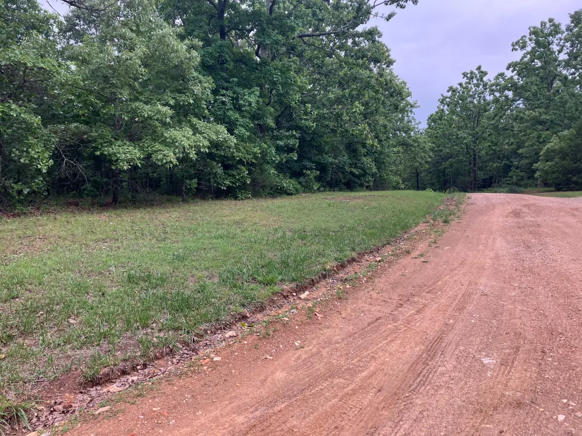 000 County Road 8790, West Plains, MO 65775 - #1