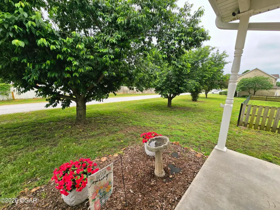9125 County Lane 217, Webb City, MO 64870 - #3
