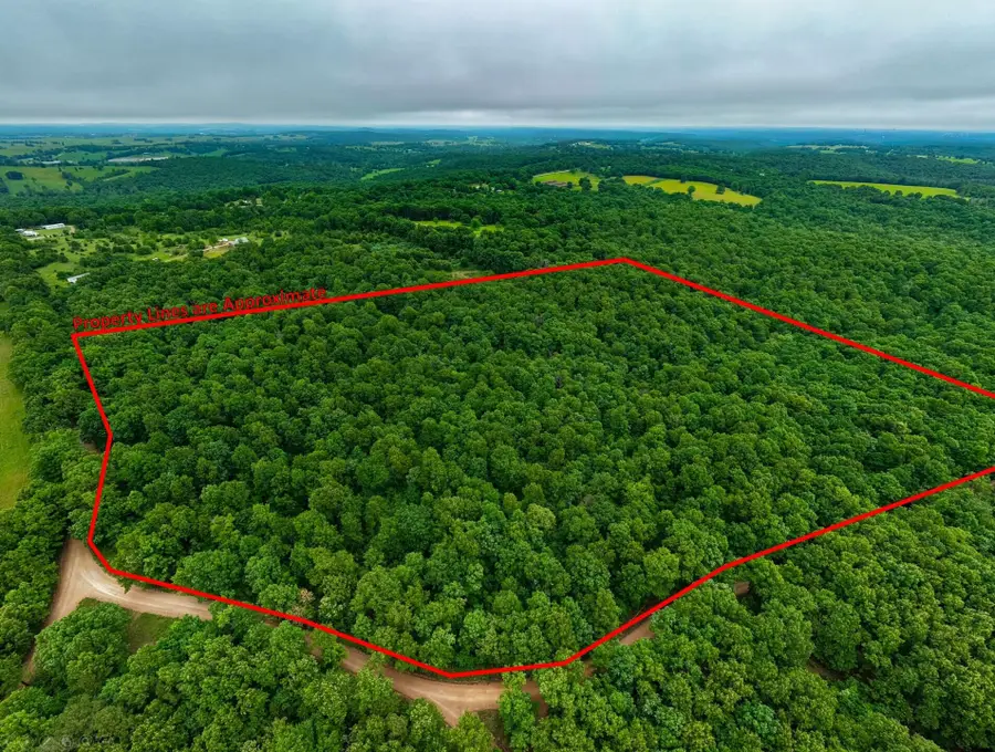 000 Co Rd 521, Hardenville, MO 65666 - #2