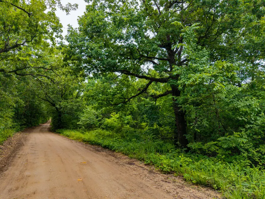 000 Co Rd 521, Hardenville, MO 65666 - #3