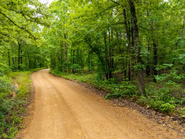 000 Co Rd 519, Hardenville, MO 65666