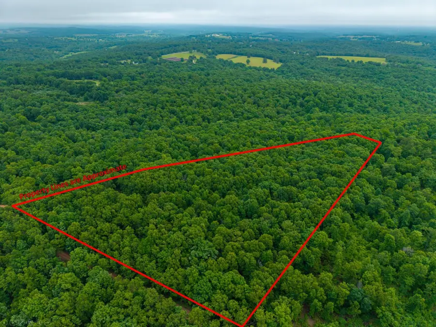 000 Co Rd 519, Hardenville, MO 65666 - #2