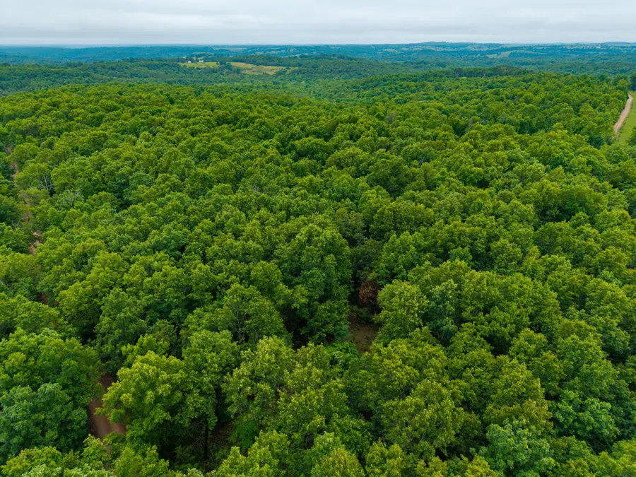 000 Co Rd 519, Hardenville, MO 65666 - #3