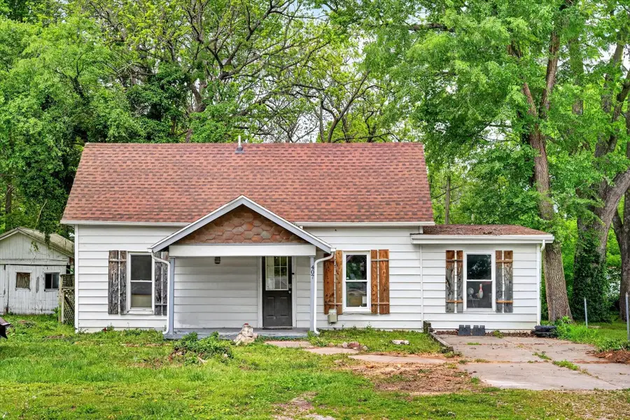 407 S Clarke Avenue, Clever, MO 65631 - #2