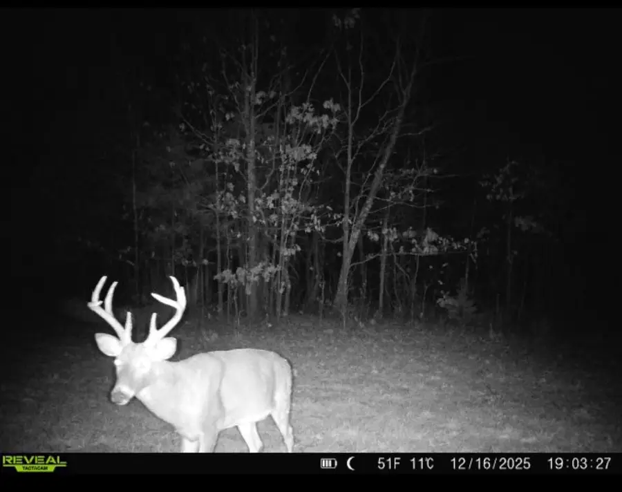 001 State Hwy O, Highlandville, MO 65669 - #3