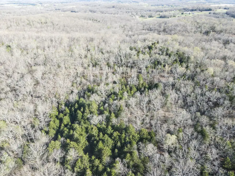 000 S Highway J, Stockton, MO 65785 - #2