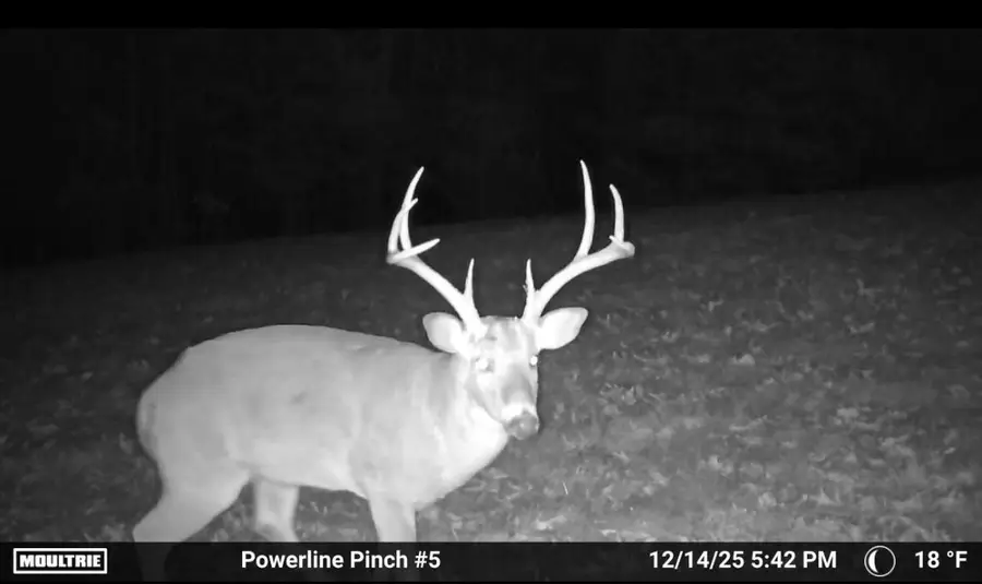 002 State Hwy O, Highlandville, MO 65669 - #3