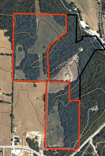 003 State Hwy O, Highlandville, MO 65669 - #2