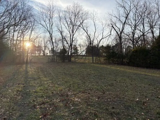 003 State Hwy O, Highlandville, MO 65669 - #3