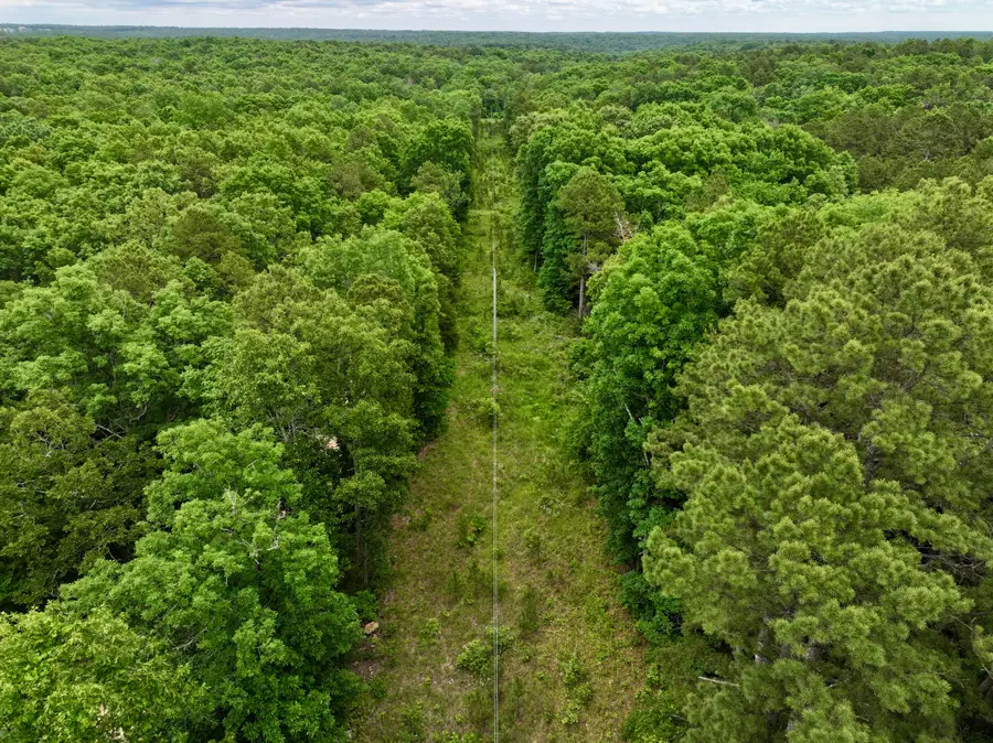 000 Carter 242, Grandin, MO 63943 - #2