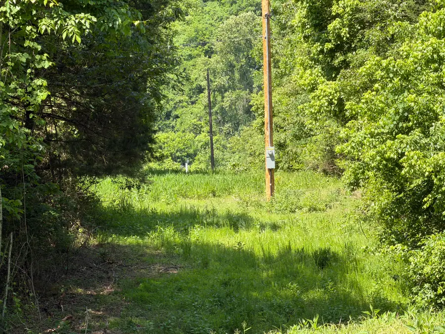 000 County Road 318 #Lot 4, Tecumseh, MO 65760 - #3