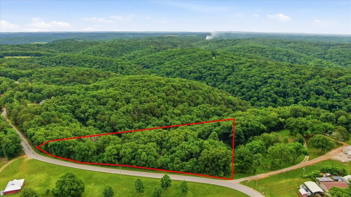 000 Cron Road, Lampe, MO 65681 - #1