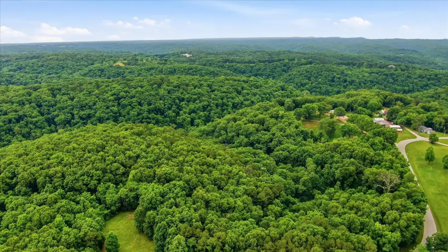 000 Cron Road, Lampe, MO 65681 - #3